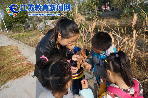丹阳运河幼儿园:找寻秋的足迹(图)